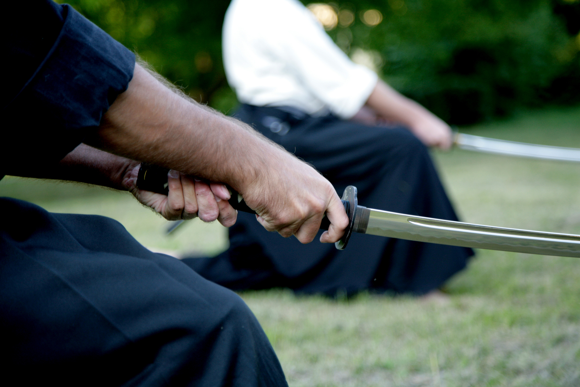 Iaido